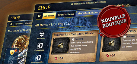 Une meilleure vue d'ensemble dans la boutique RoM