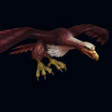 Águila de plumas azules
