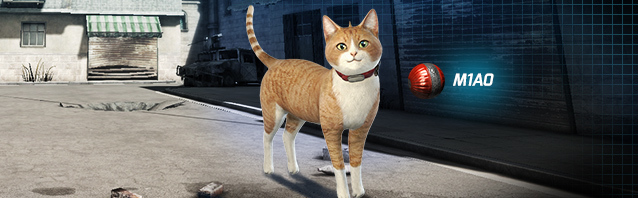 M1A0, zombies for everyone and a new VIP map!